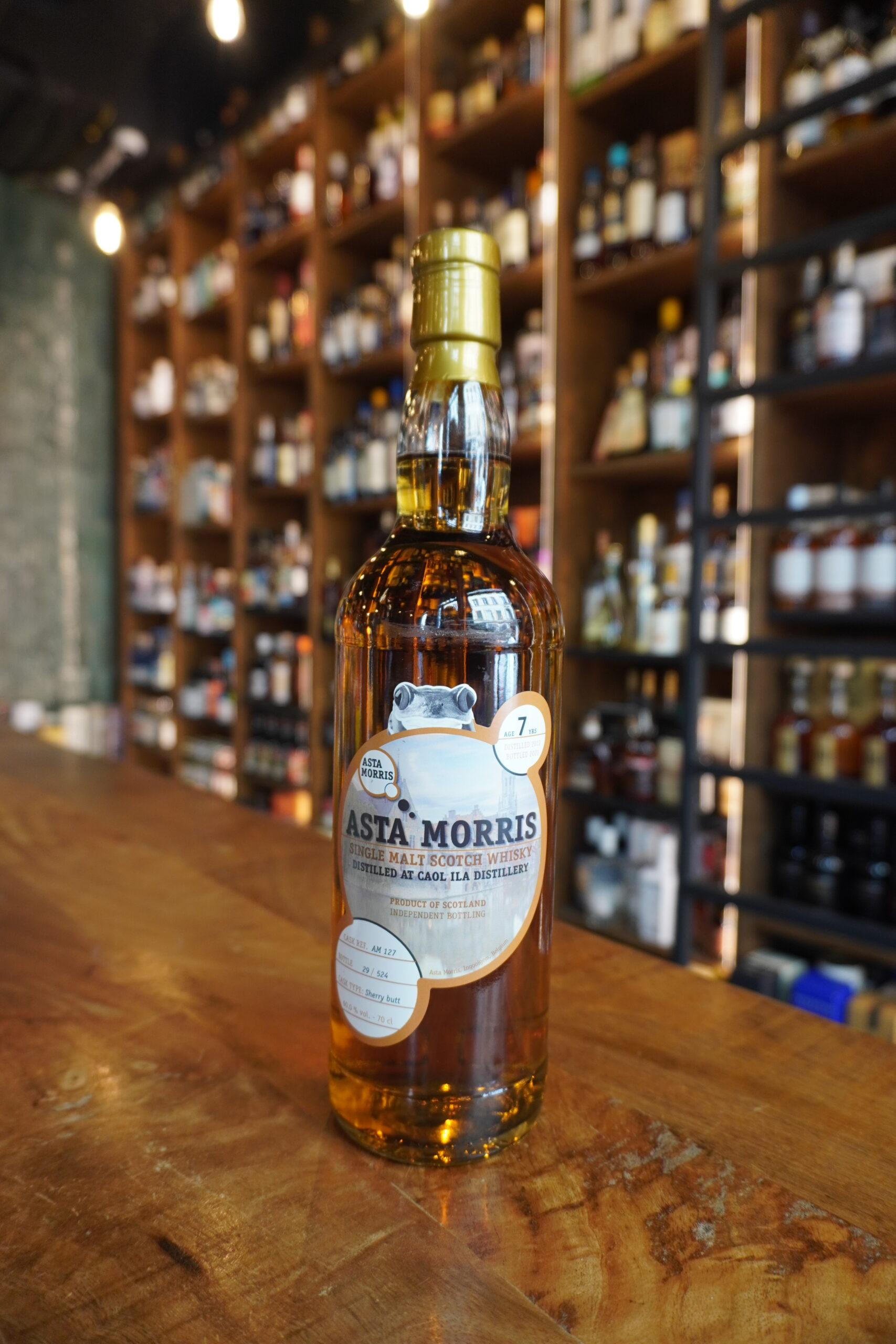 ASTA MORRIS CAOL ILA 7ANS