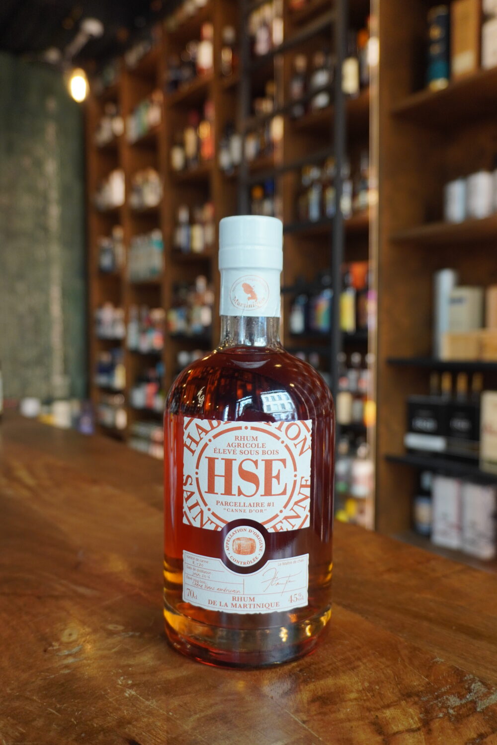 HSE ESB PARCELLAIRE 1